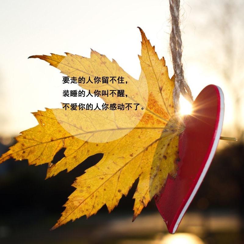 剧情在好终究是戏