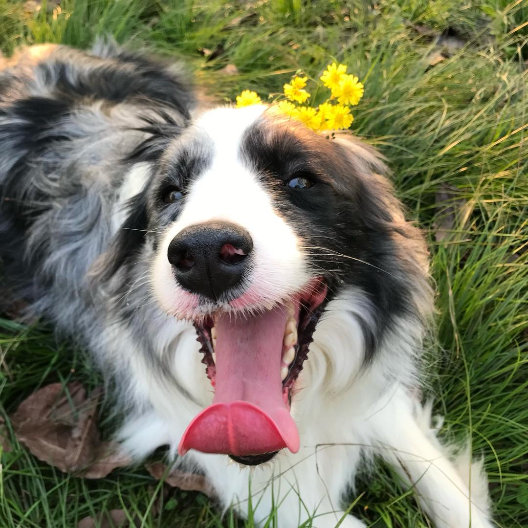 ^_^—