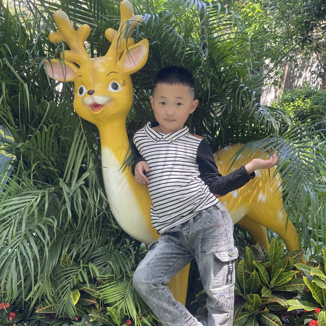 陵城区小董二手车