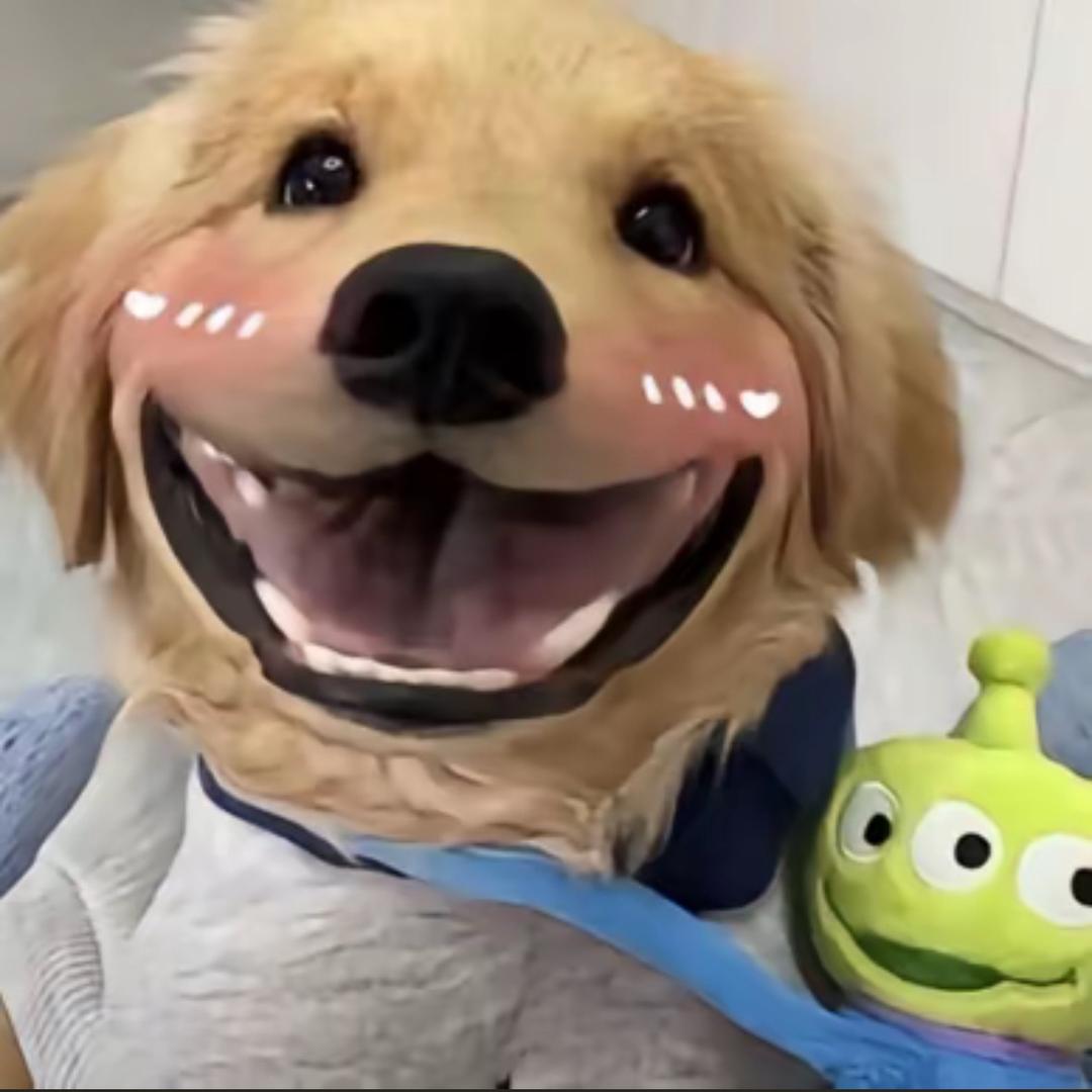 大佬在这
