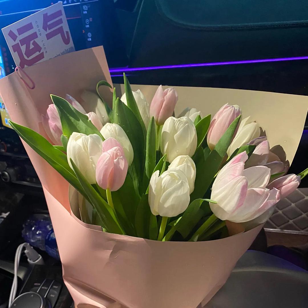 ℳ̶̶̶̶♡̶҉痴情ℳᥫᩣ