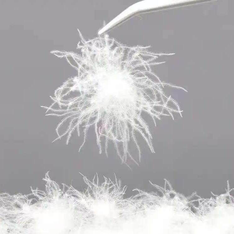 毅洁羽绒工厂2店