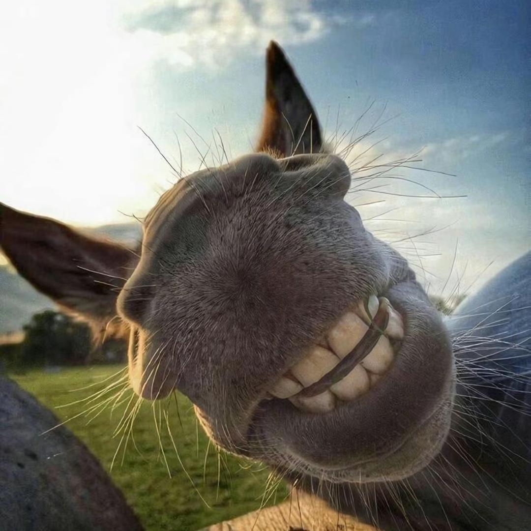 a达