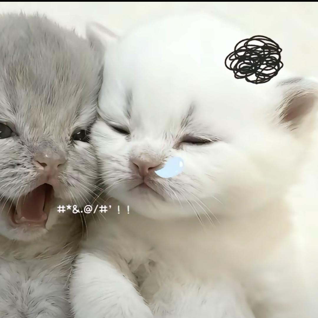 有多远滚多远