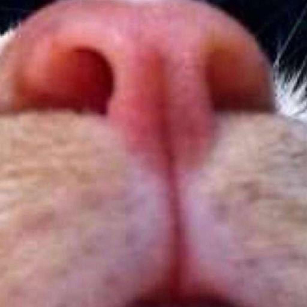媛媛