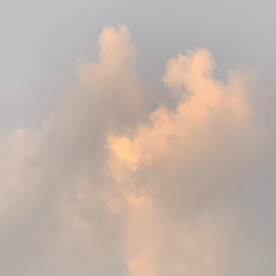 诺