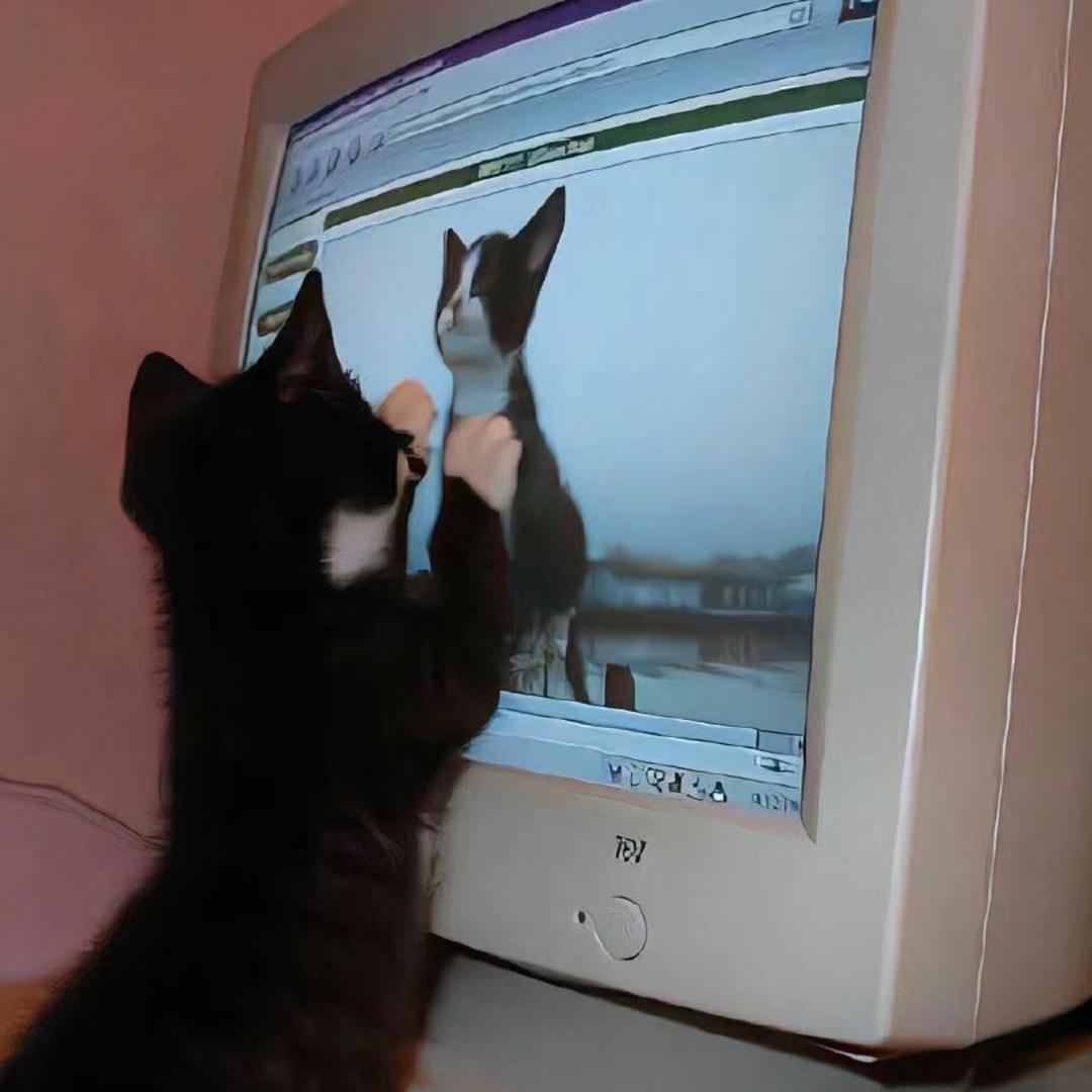 奥斯卡猴王殿 小耶