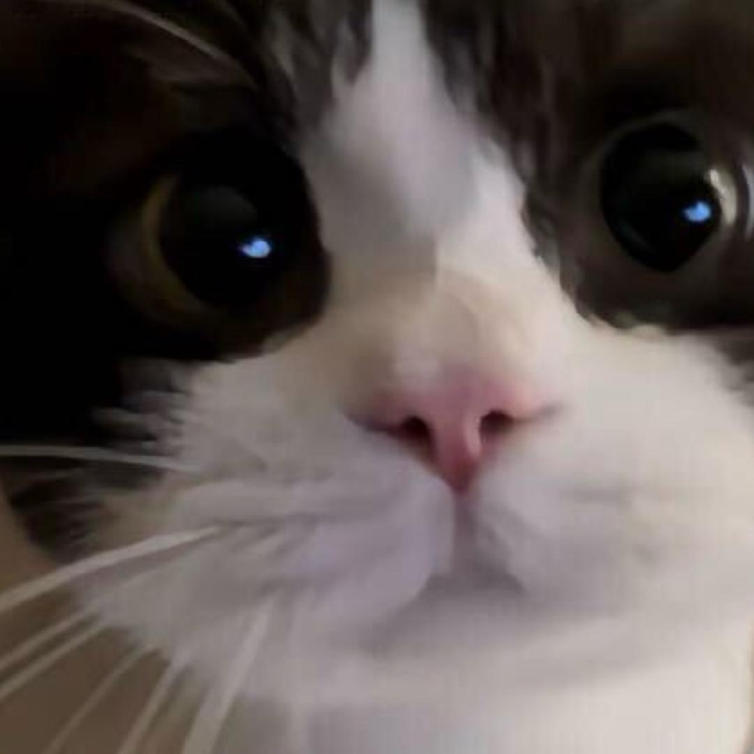 不想练腿