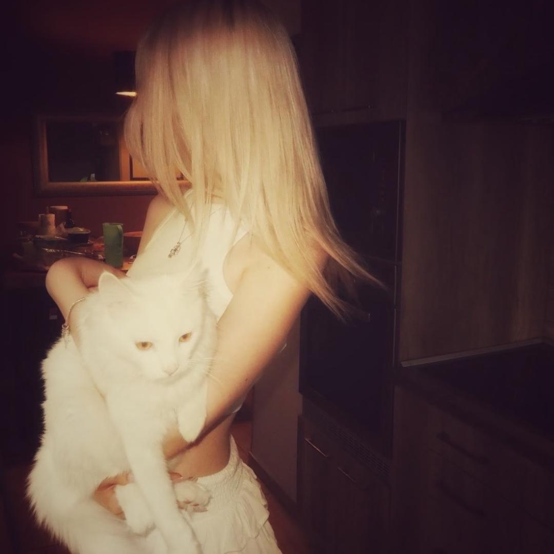 训犬