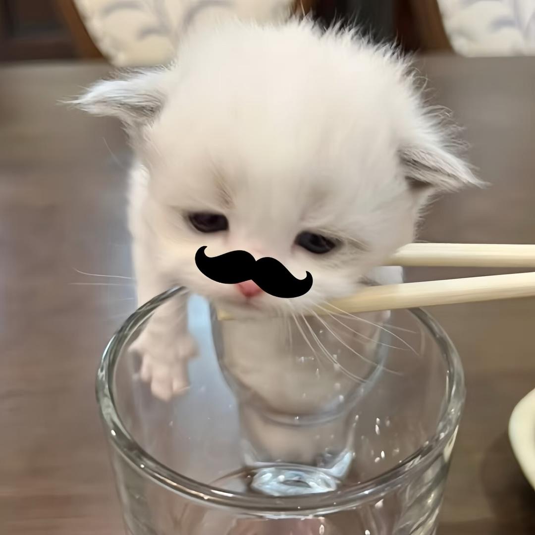 小dia