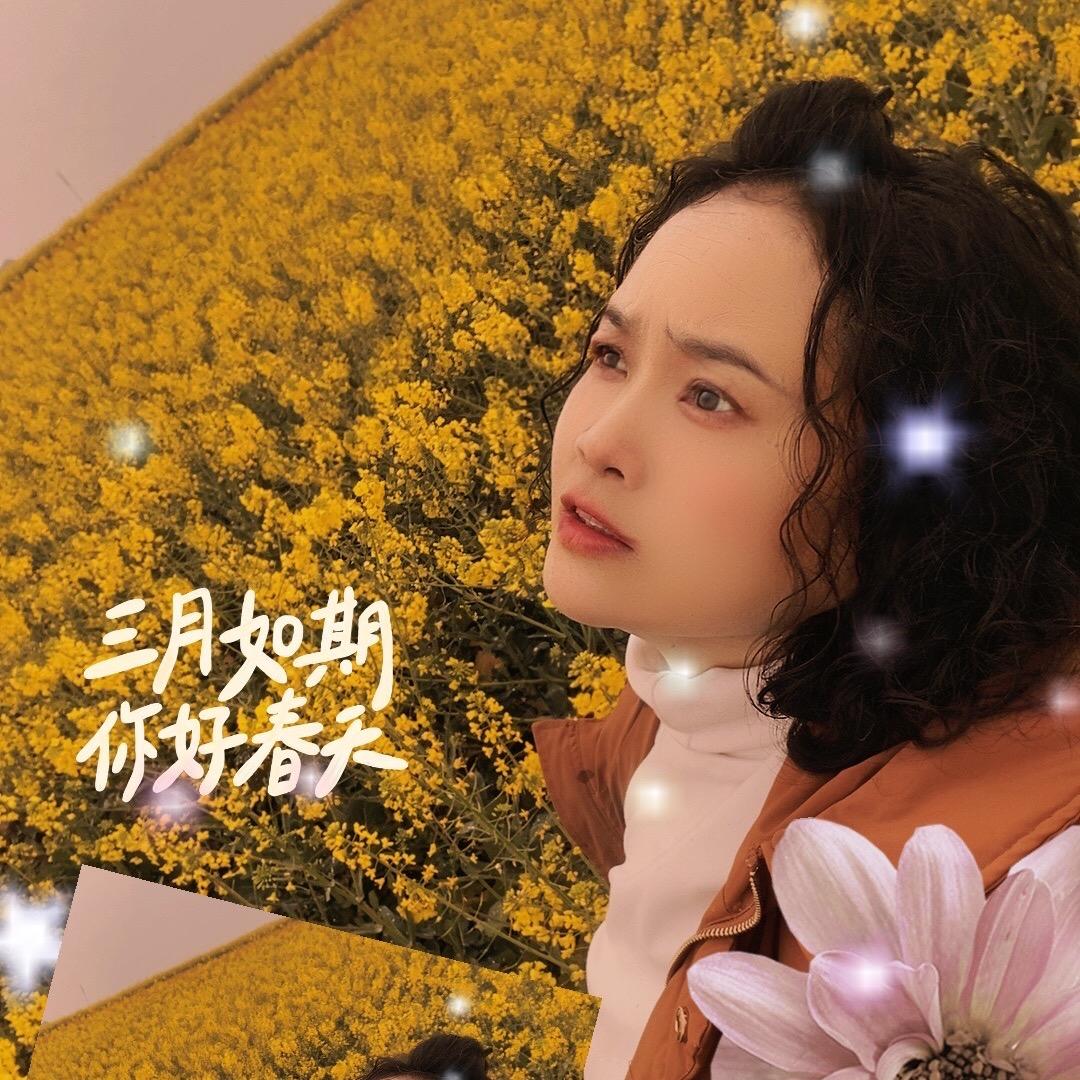 玉树琼楼（团购达人）