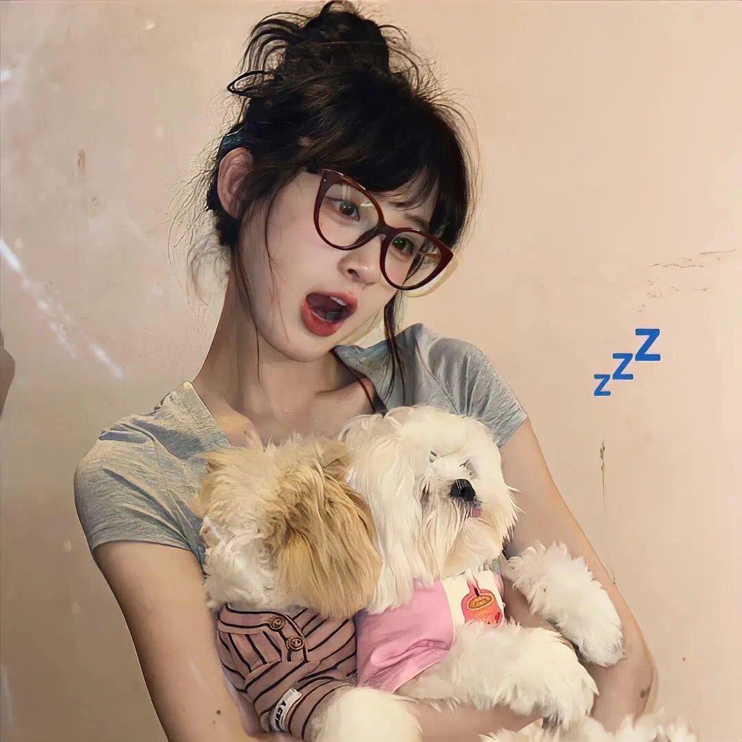 呆呆兽最终版