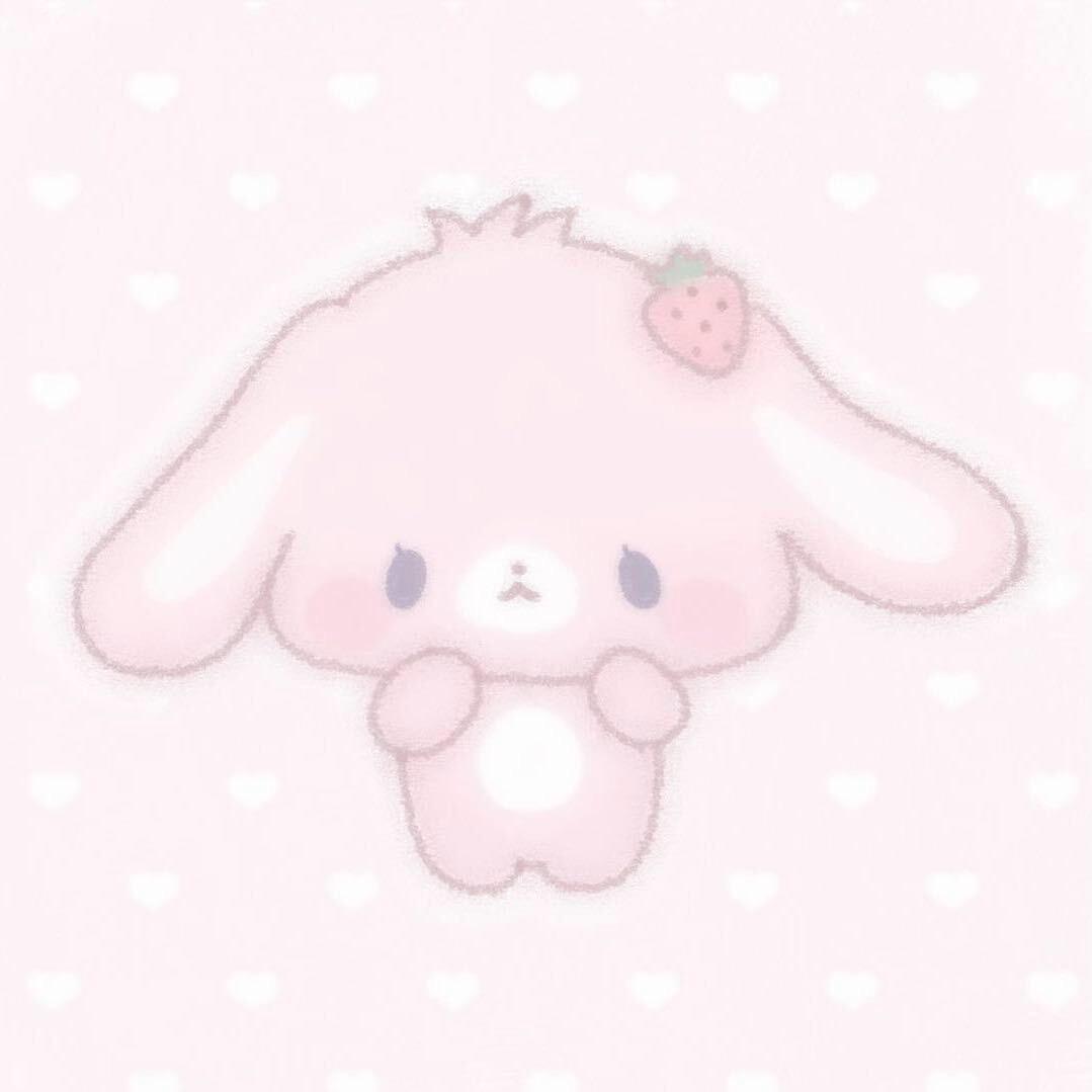 屁屁o3o