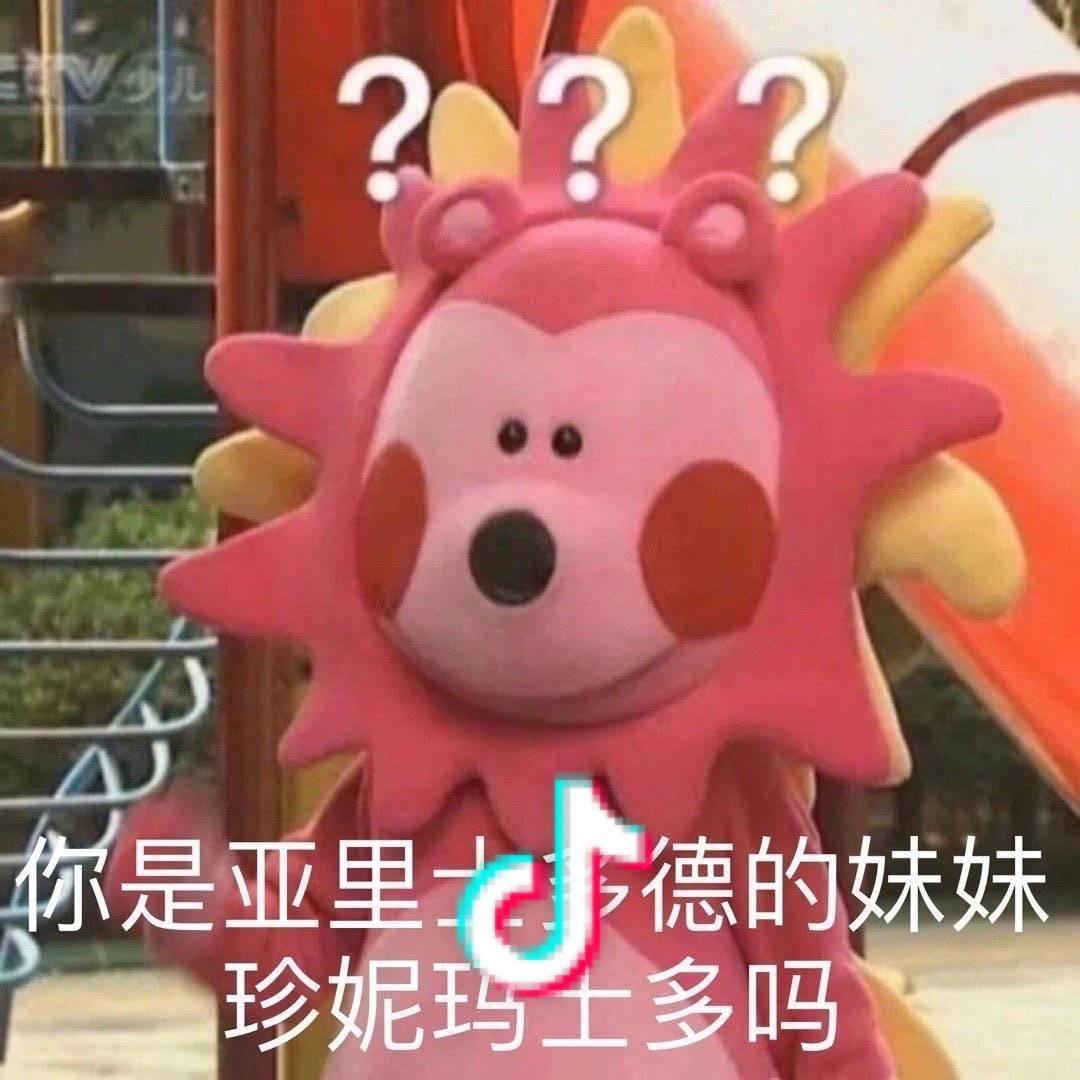 肉球 _