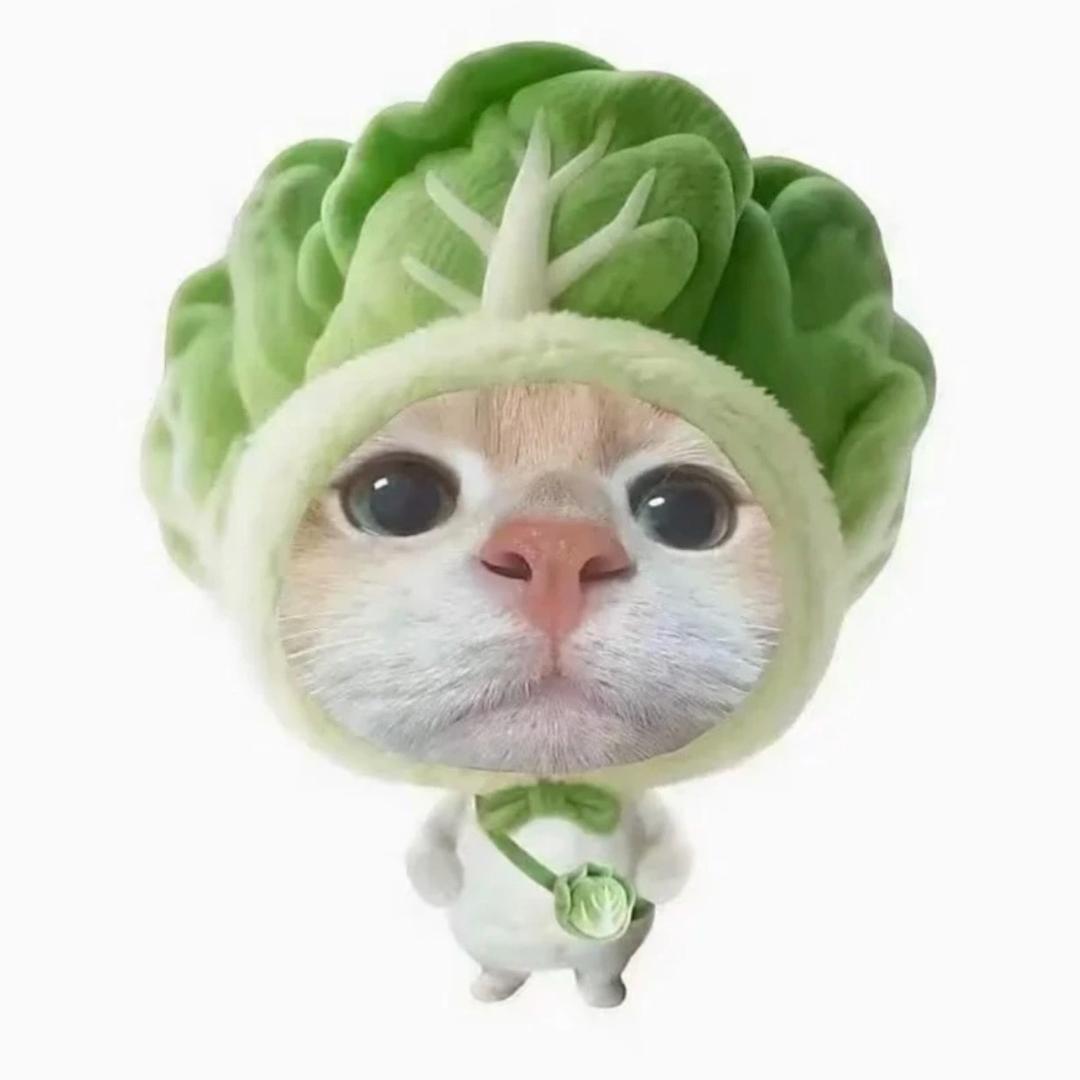 🤩？