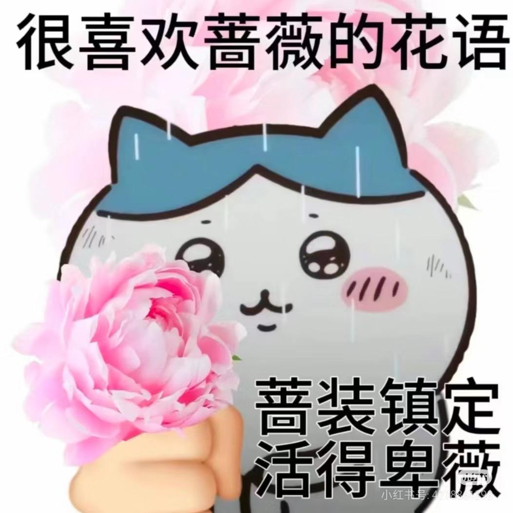 小肆拆谷