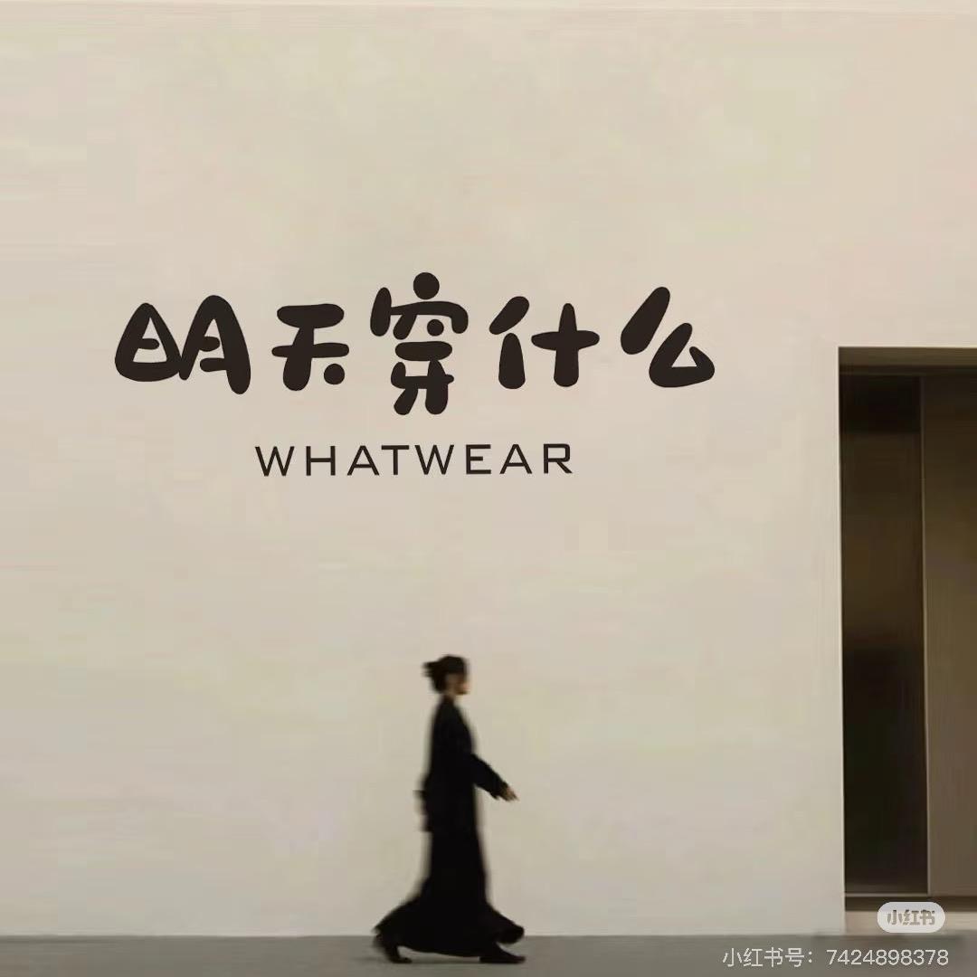 大豆家大个子微胖女装合肥1