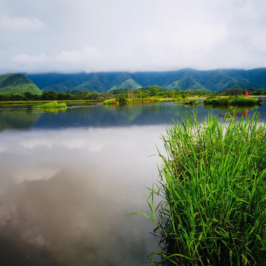 脱贫致富小能手