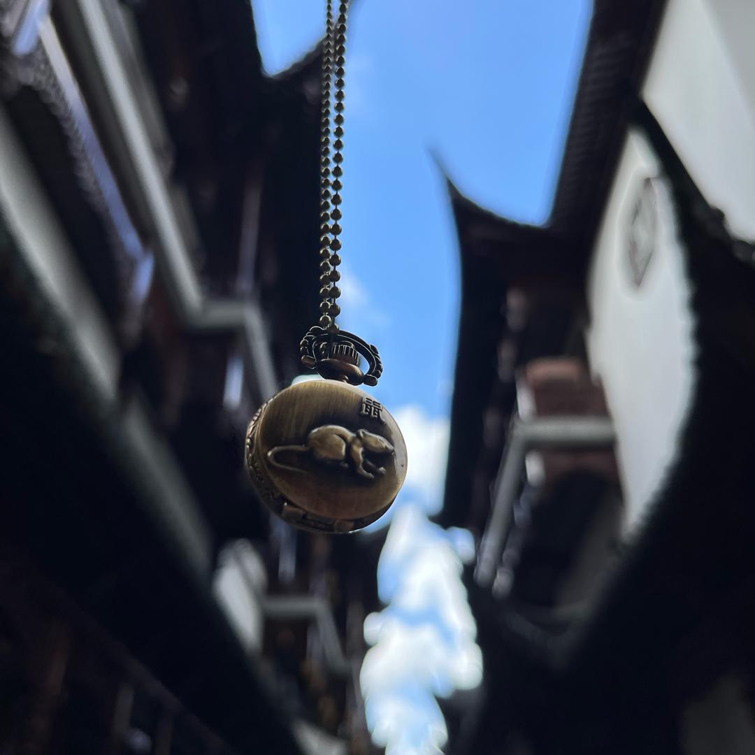 小小强。
