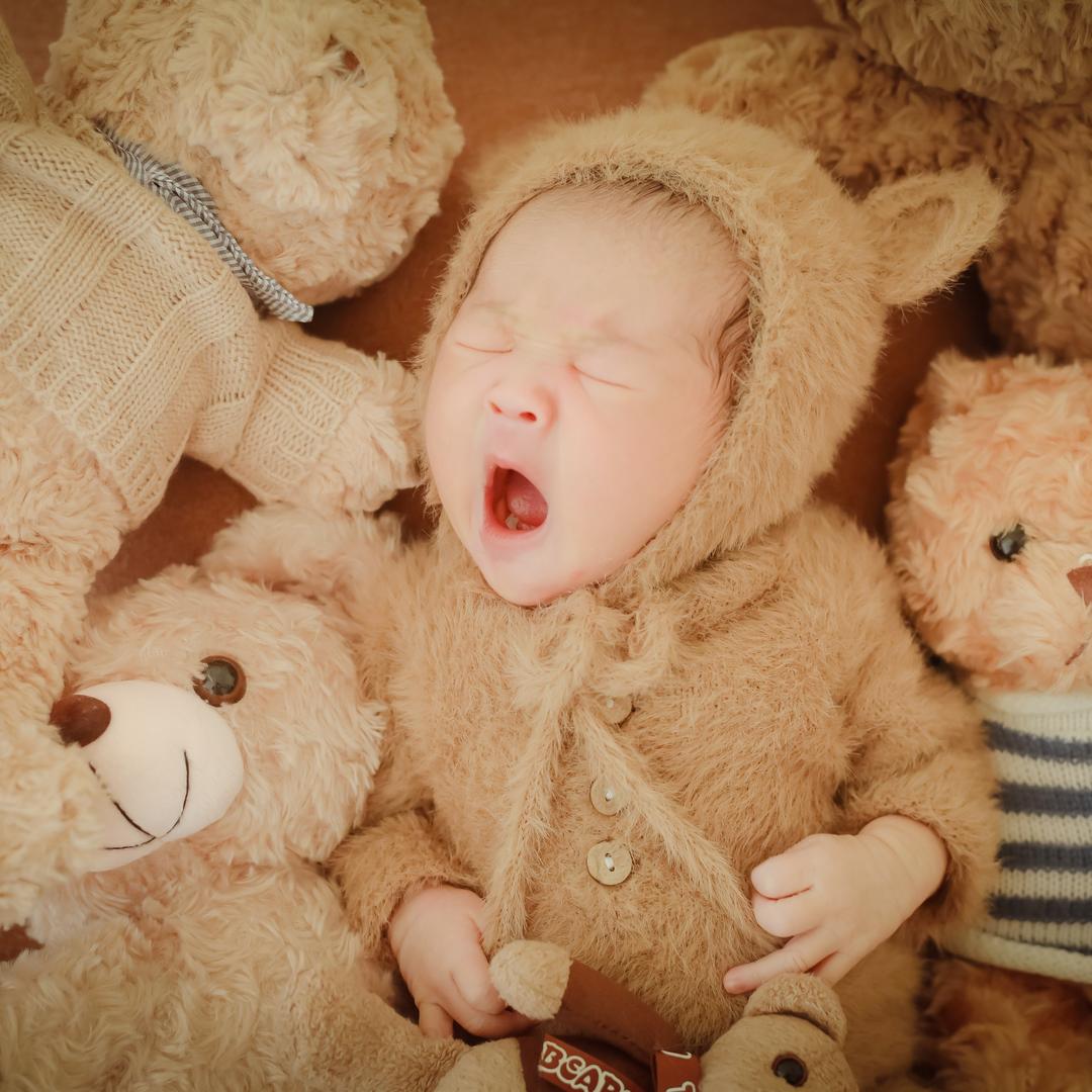 俩博士的小幼崽