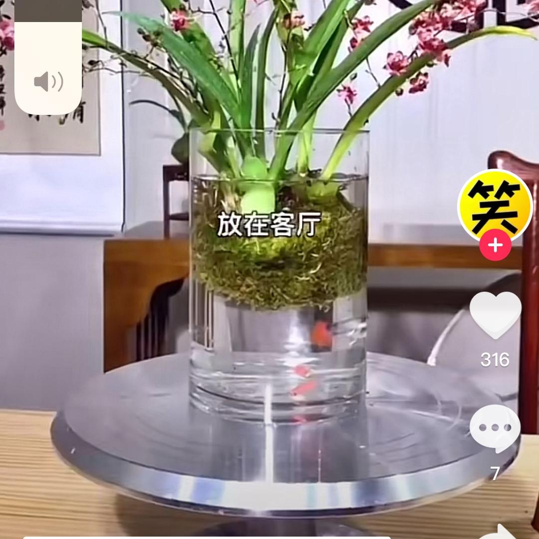 银子