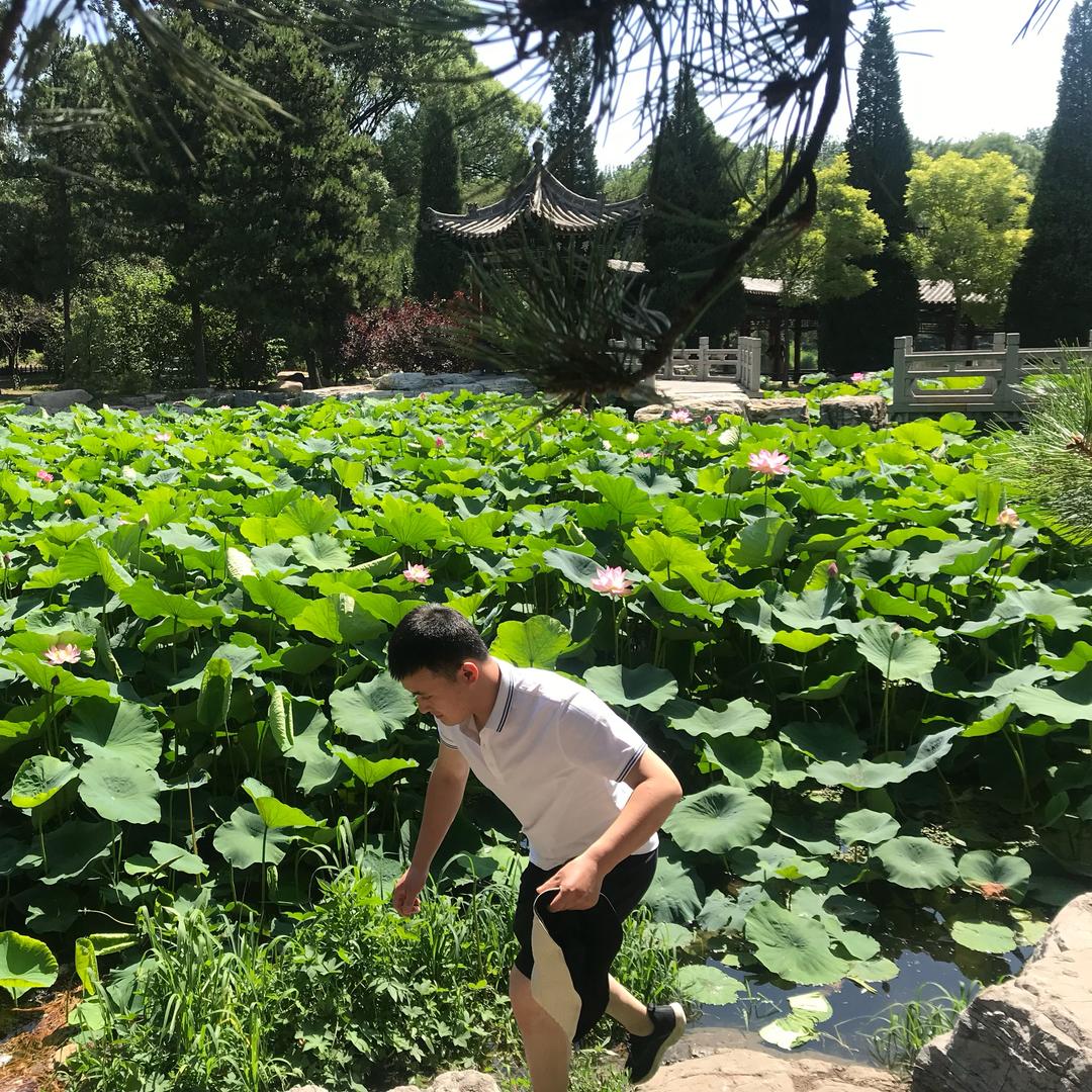 孑然一身（新的挑战）