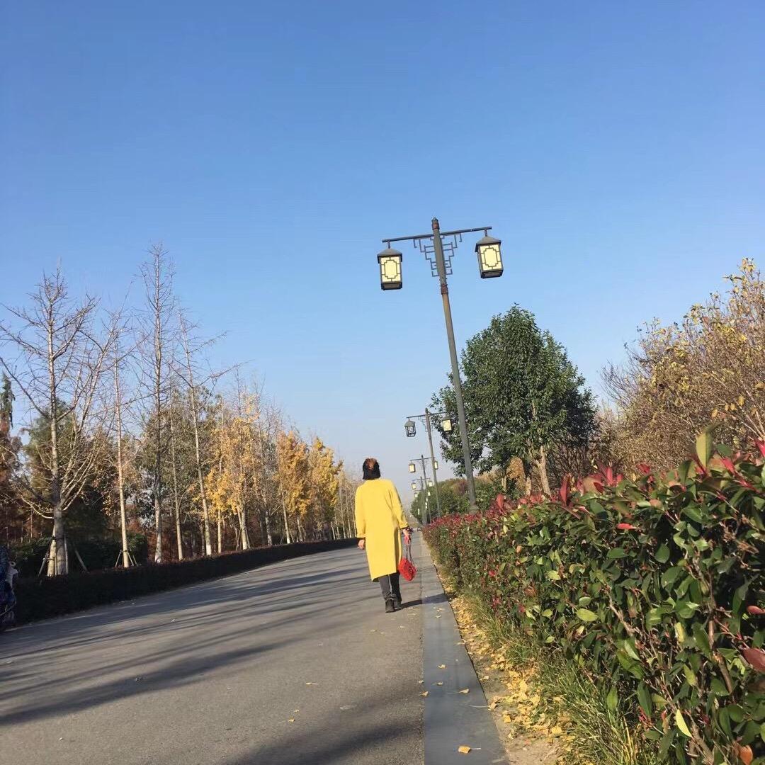 简  单  🍒