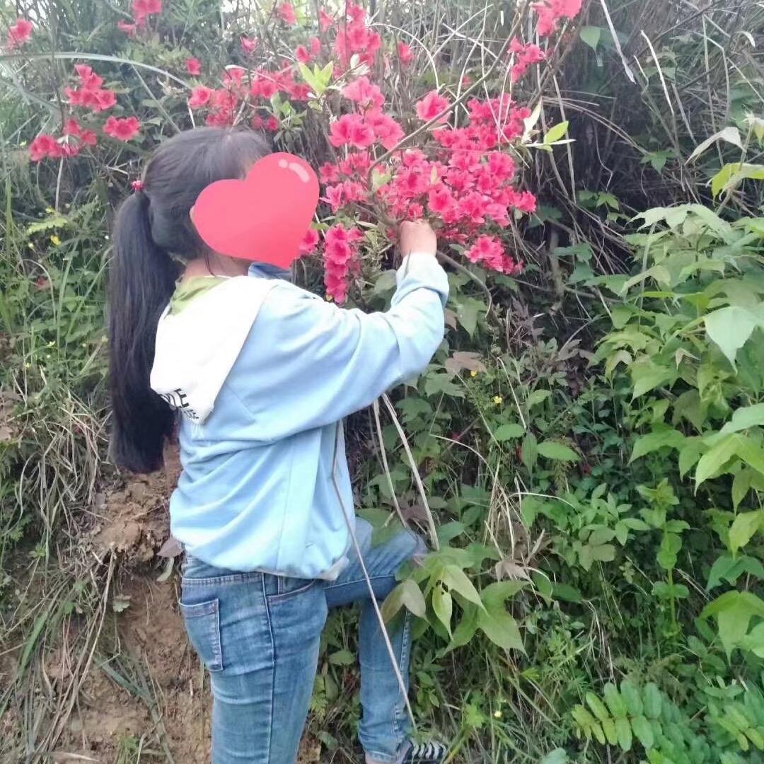 玲妹三小姐