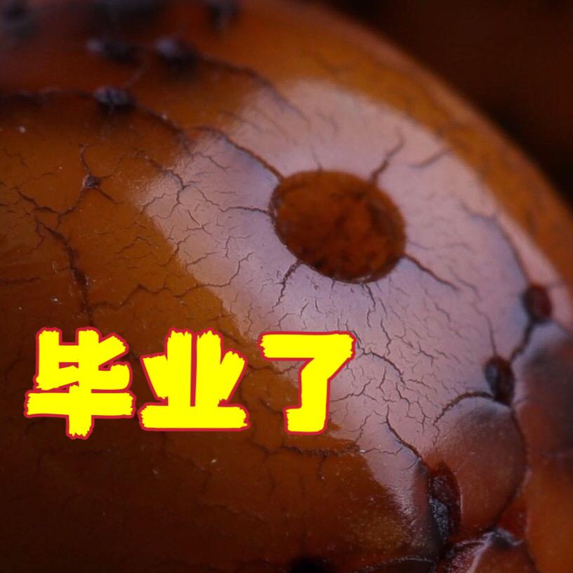 海南飞腾高端星月菩提