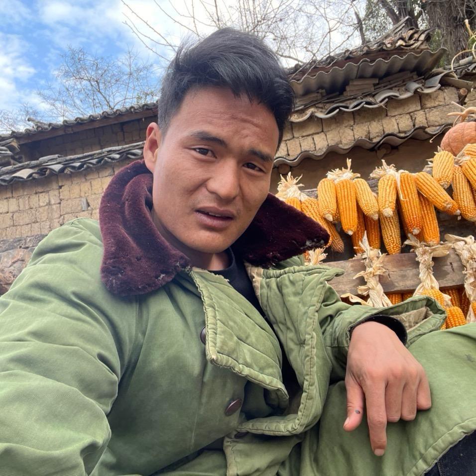 云南小公牛