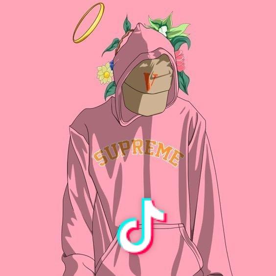 隔膜10