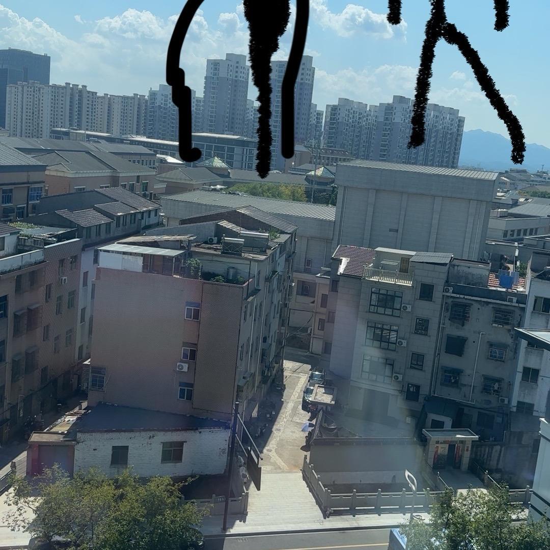 520情人节礼物