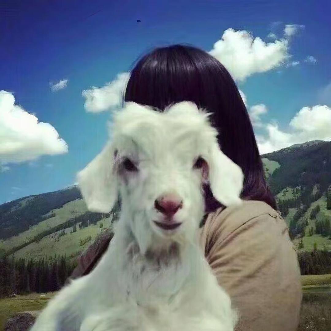 林中抚琴曲委婉