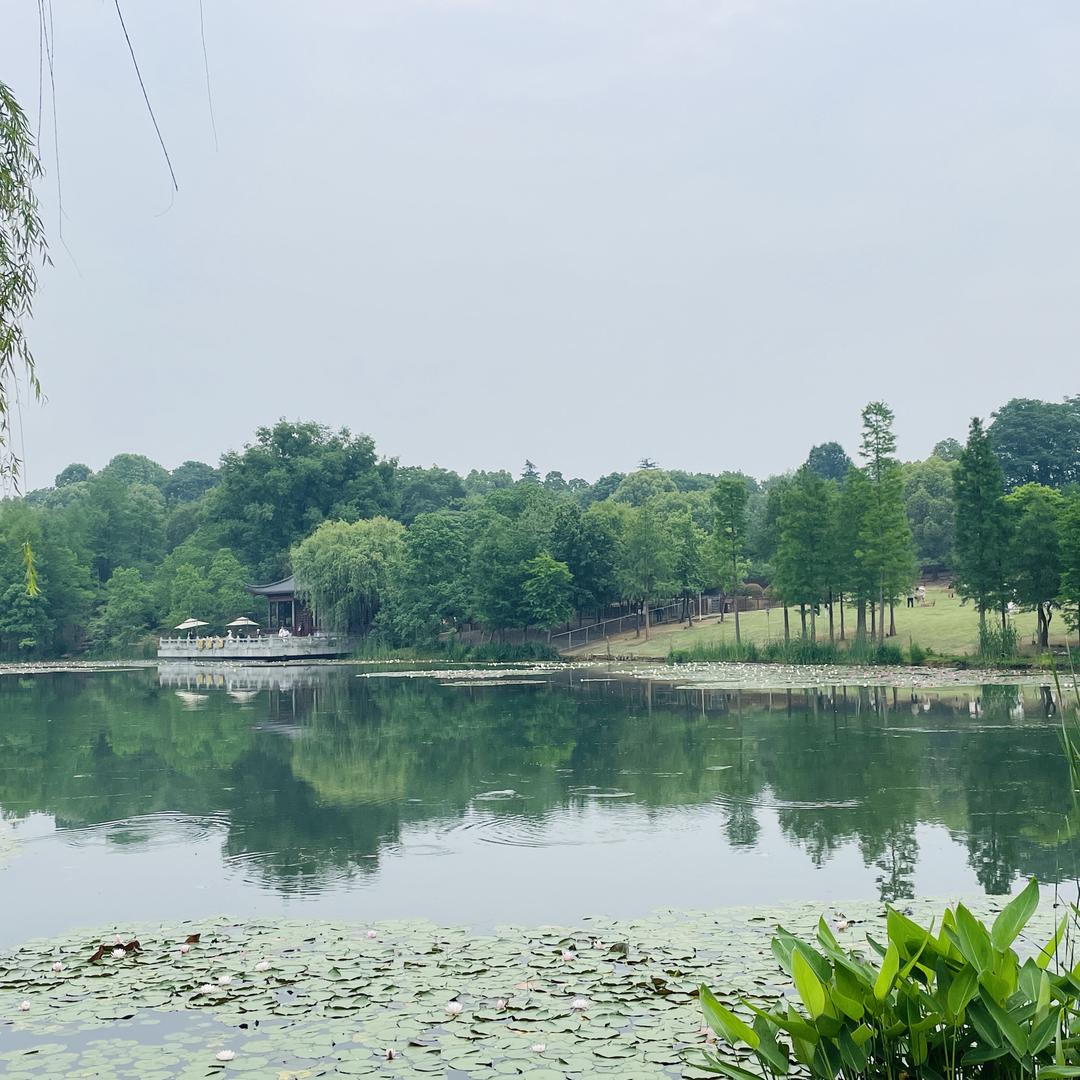 糖糖姐（晚9:40开播）