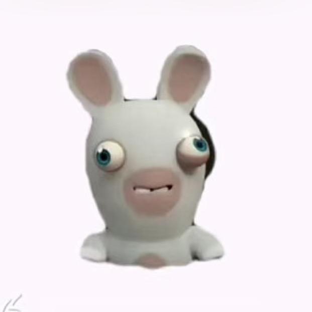 djdbsj