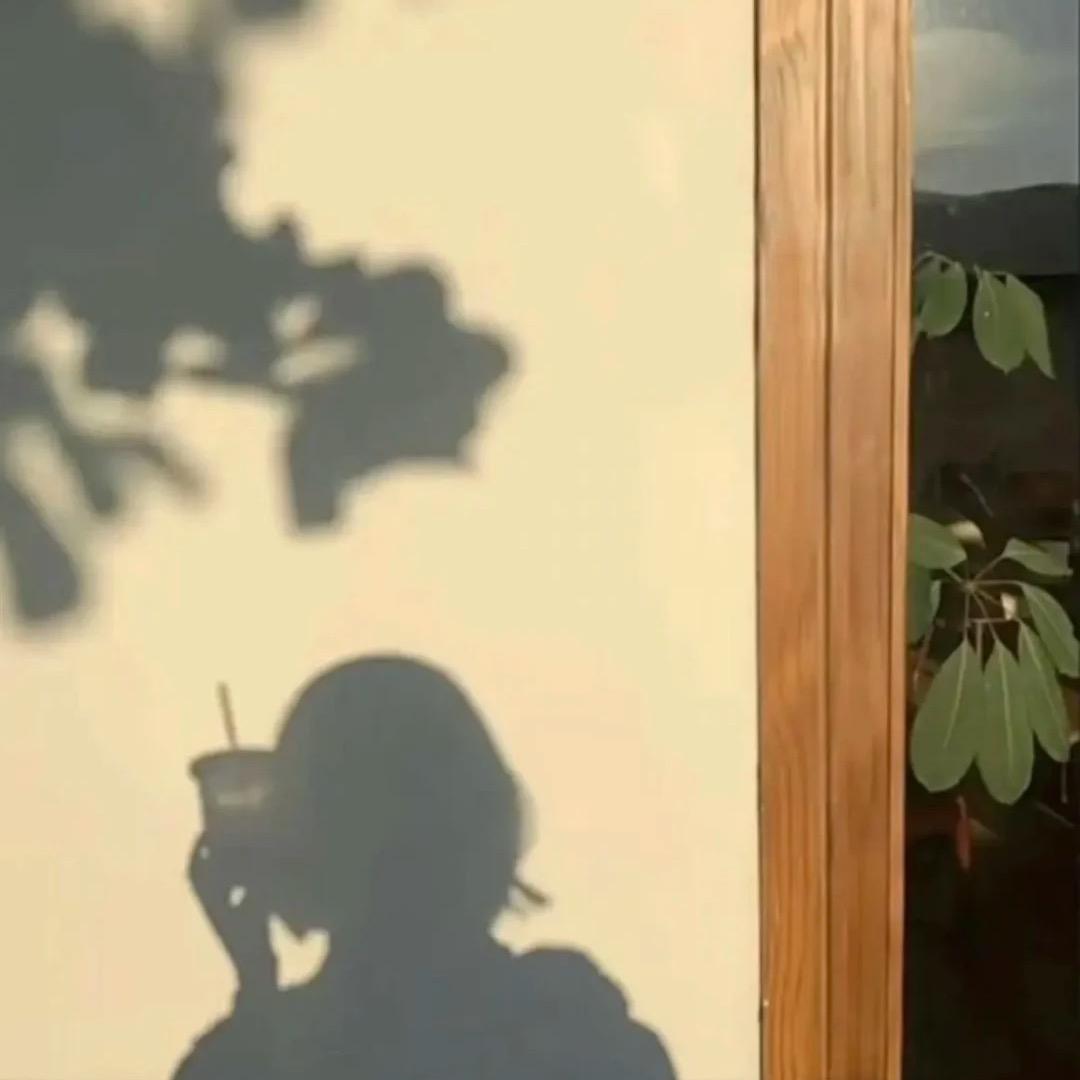 愿你安好🍀