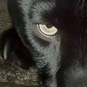 香甜奶油小蛋糕