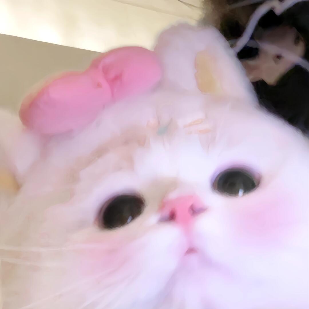 福西西的妙妙屋