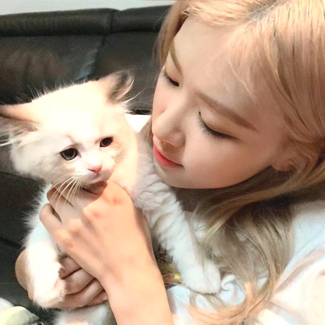 小球