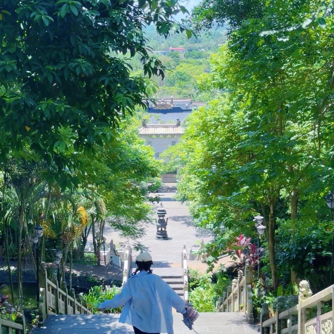 🐑🐑不得意