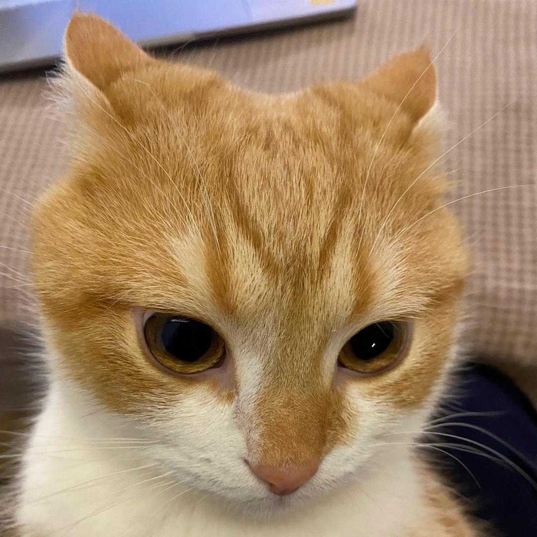 请把你的手给我