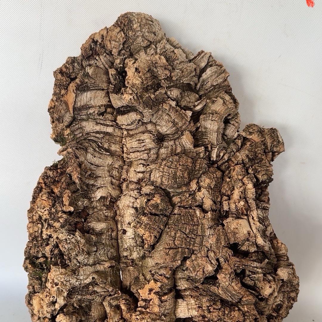 葡萄牙软木树皮软木树桶《零售批发》