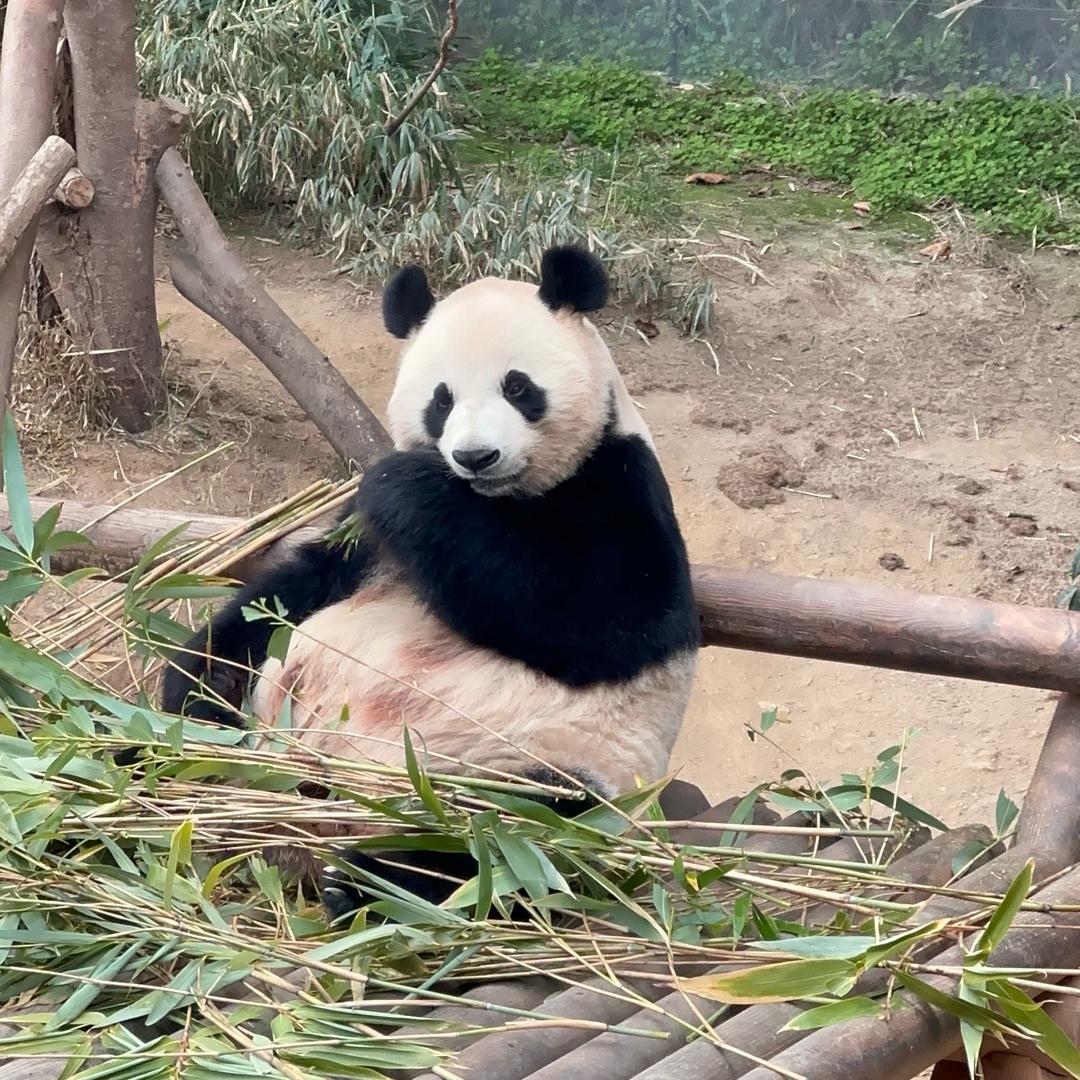 沐晴~