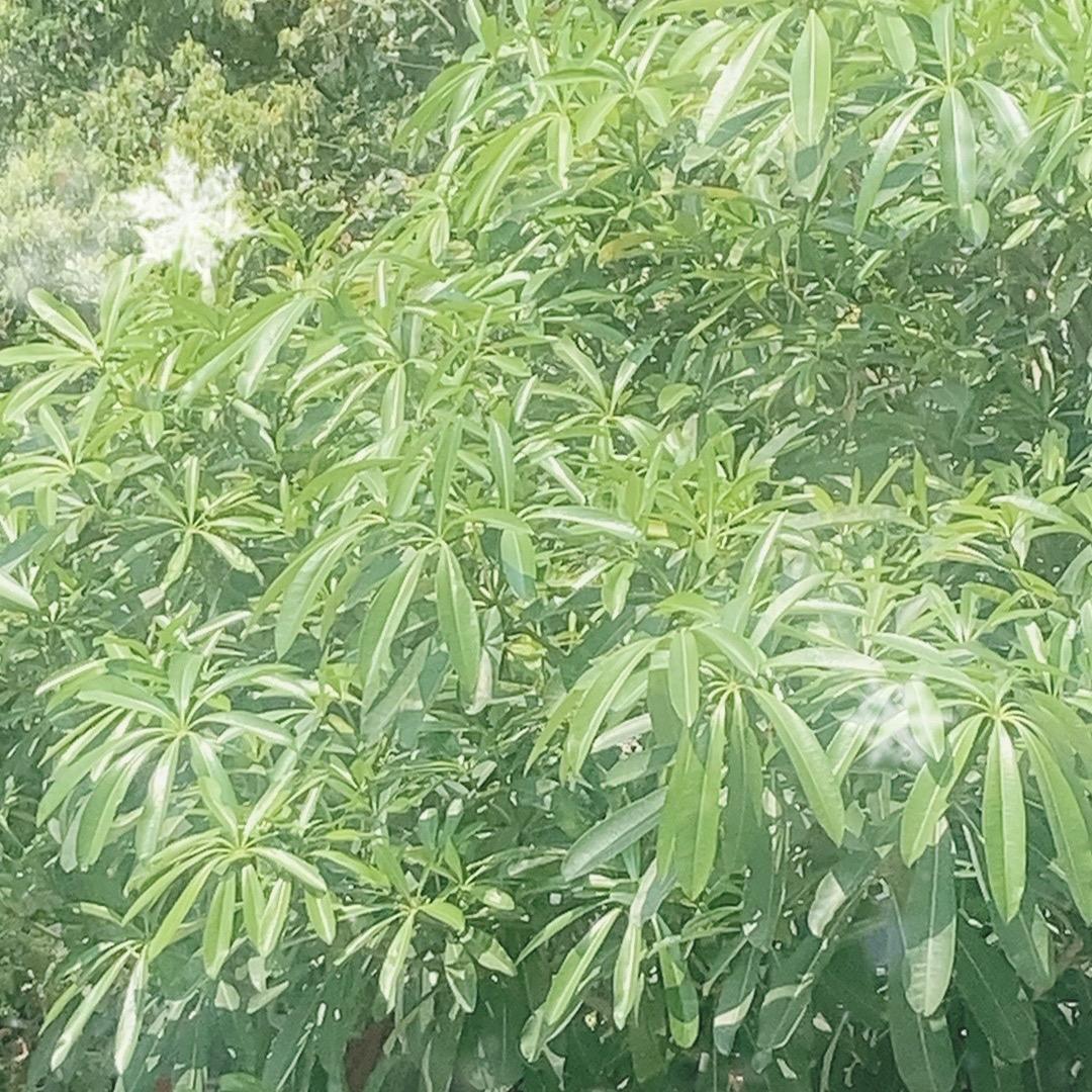 悠悠精品优选