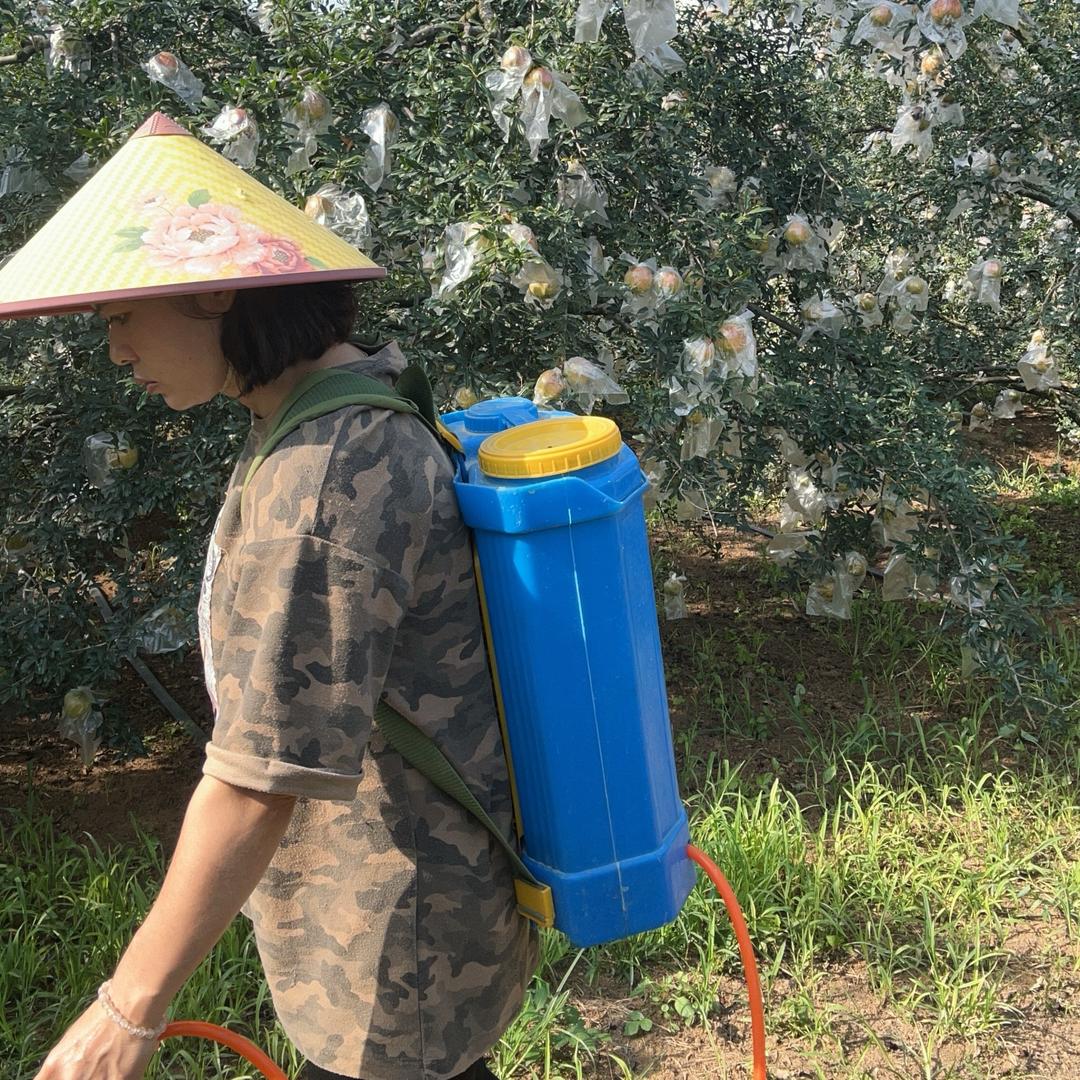 蒙自坤玲水果店