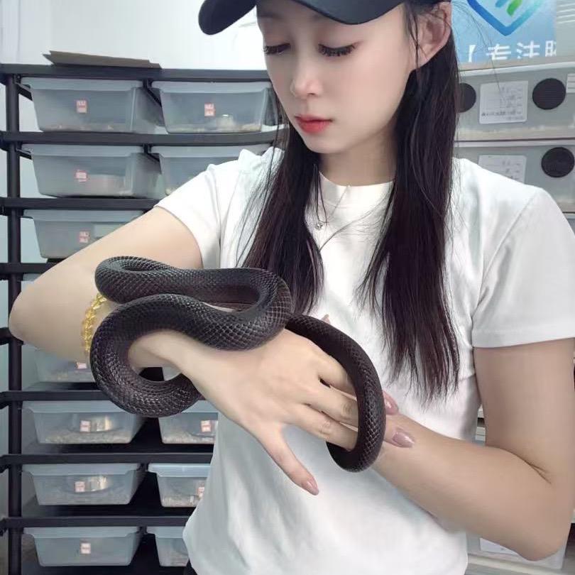 沐沐爬宠（春）