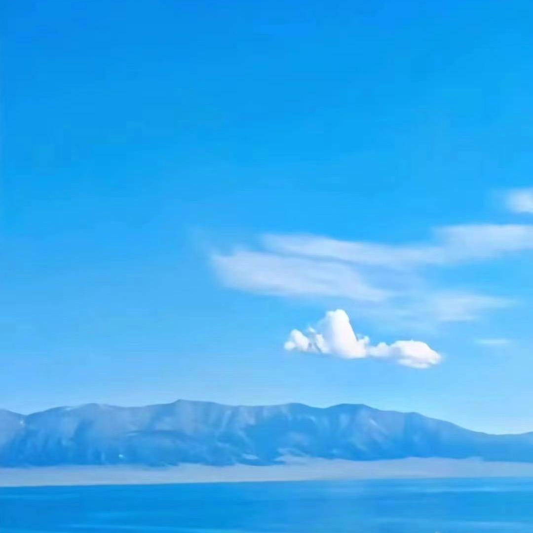 书成🎤