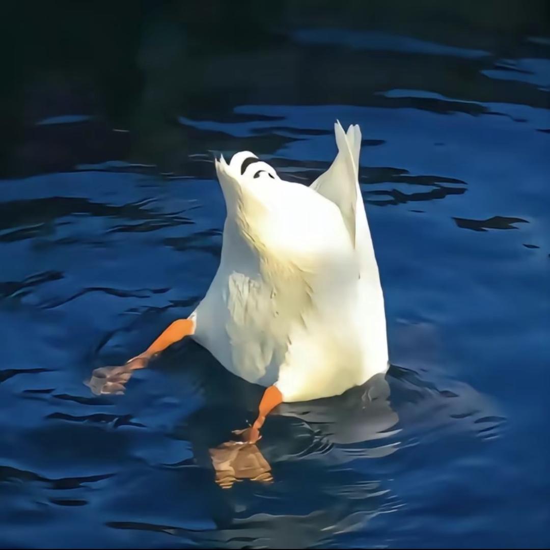 听雨晴