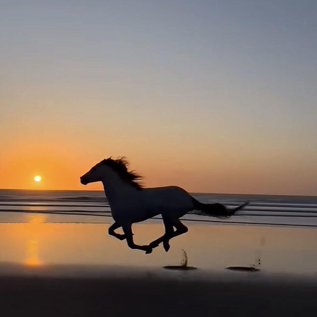 称重自选快餐保温台厂家～利生