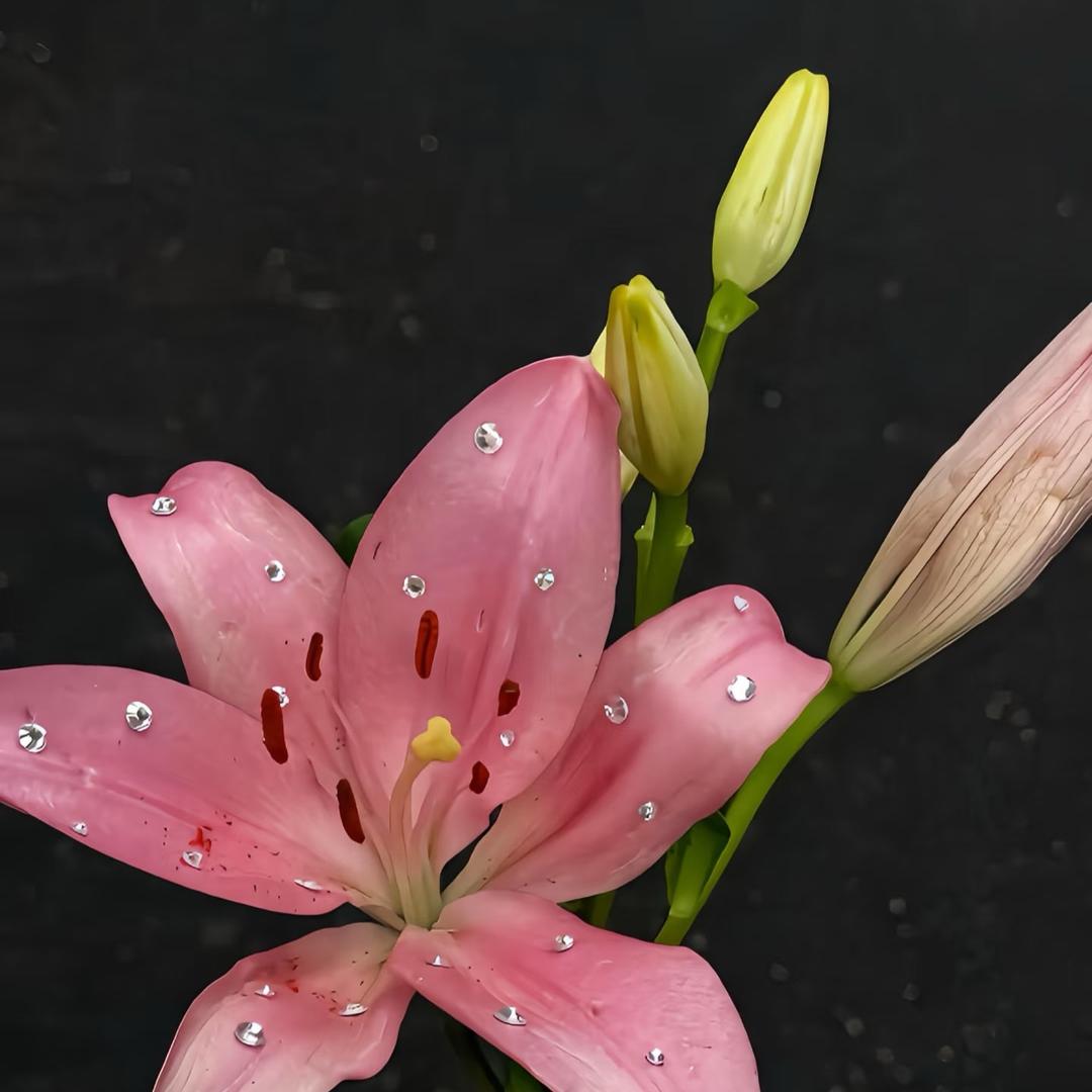 百合